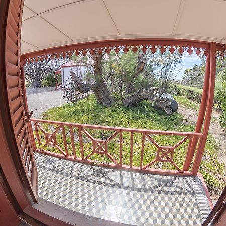 Hotel El Pedral Puerto Madryn Buitenkant foto