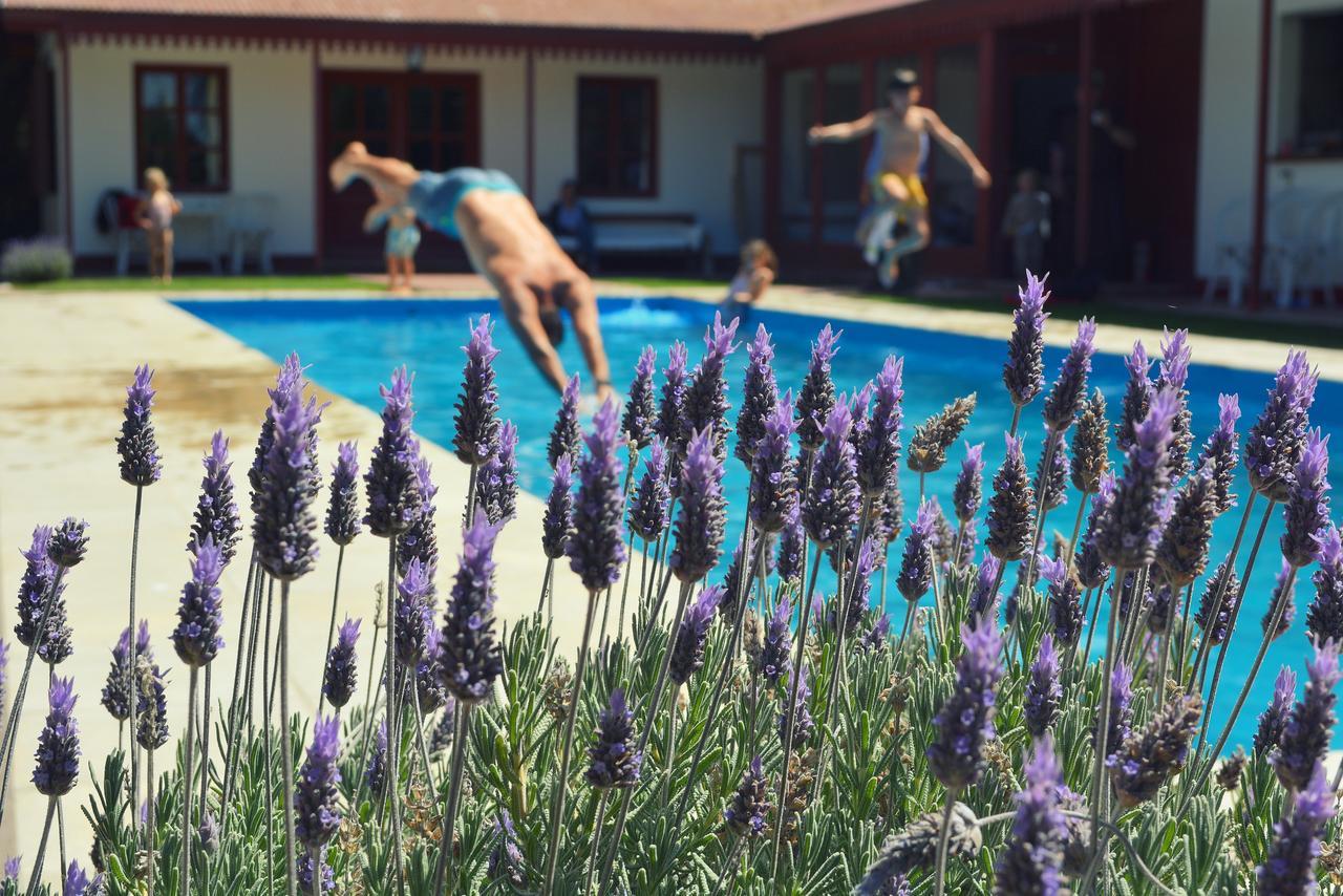 Hotel El Pedral Puerto Madryn Buitenkant foto